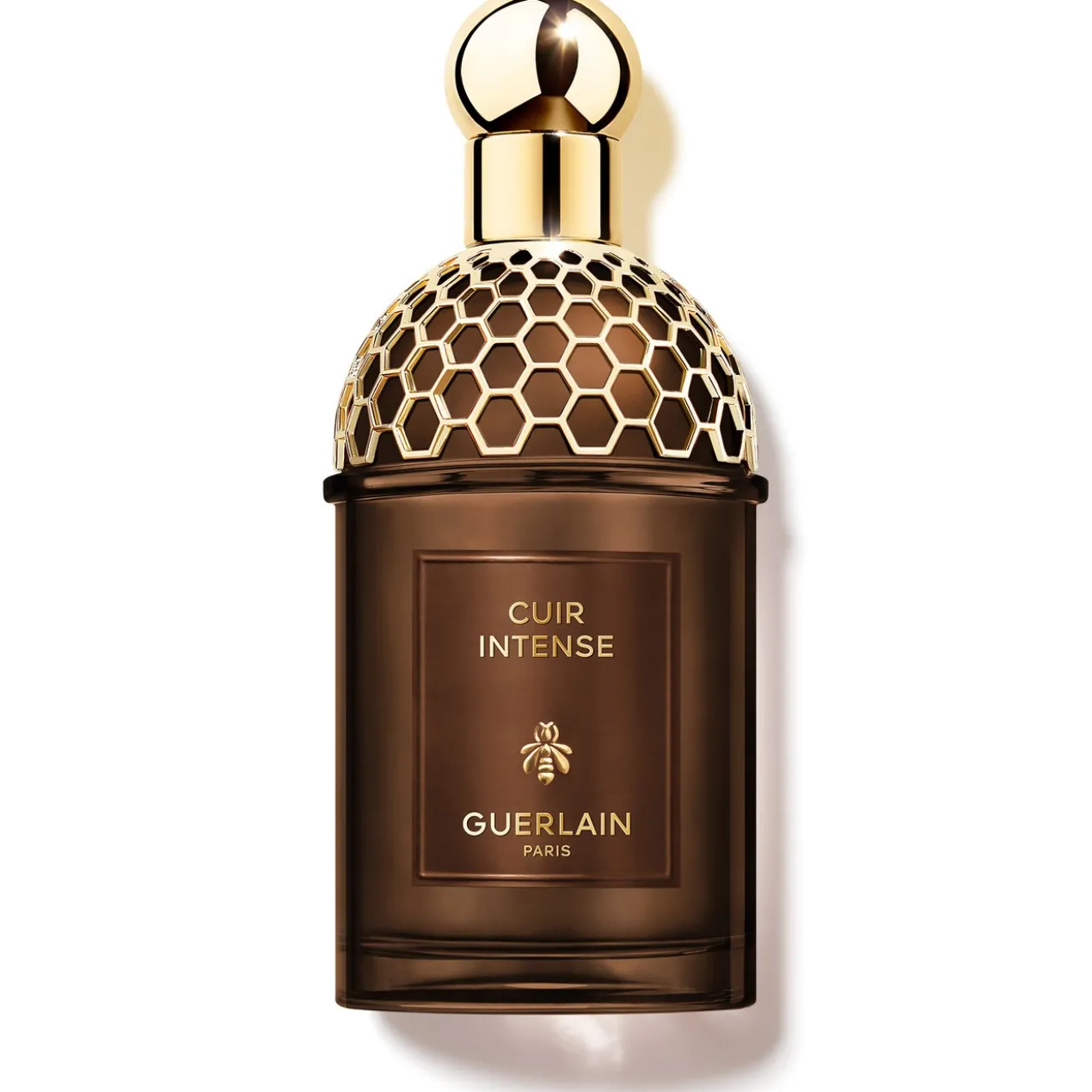 Absolus Allegoria Cuir Intense Eau de Parfum