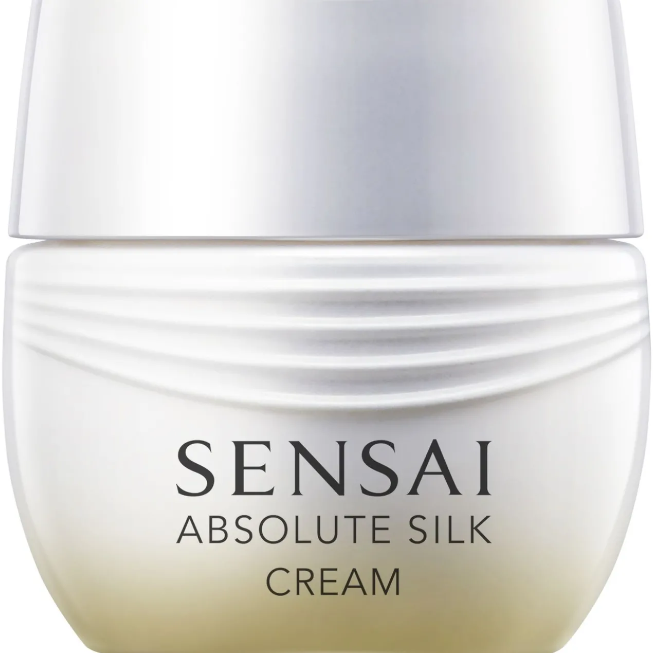 Absolute Silk Micro Mousse Traitement Coffret