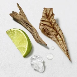Acqua Di Giò Eau de Toilette Estuche Parfum Homme