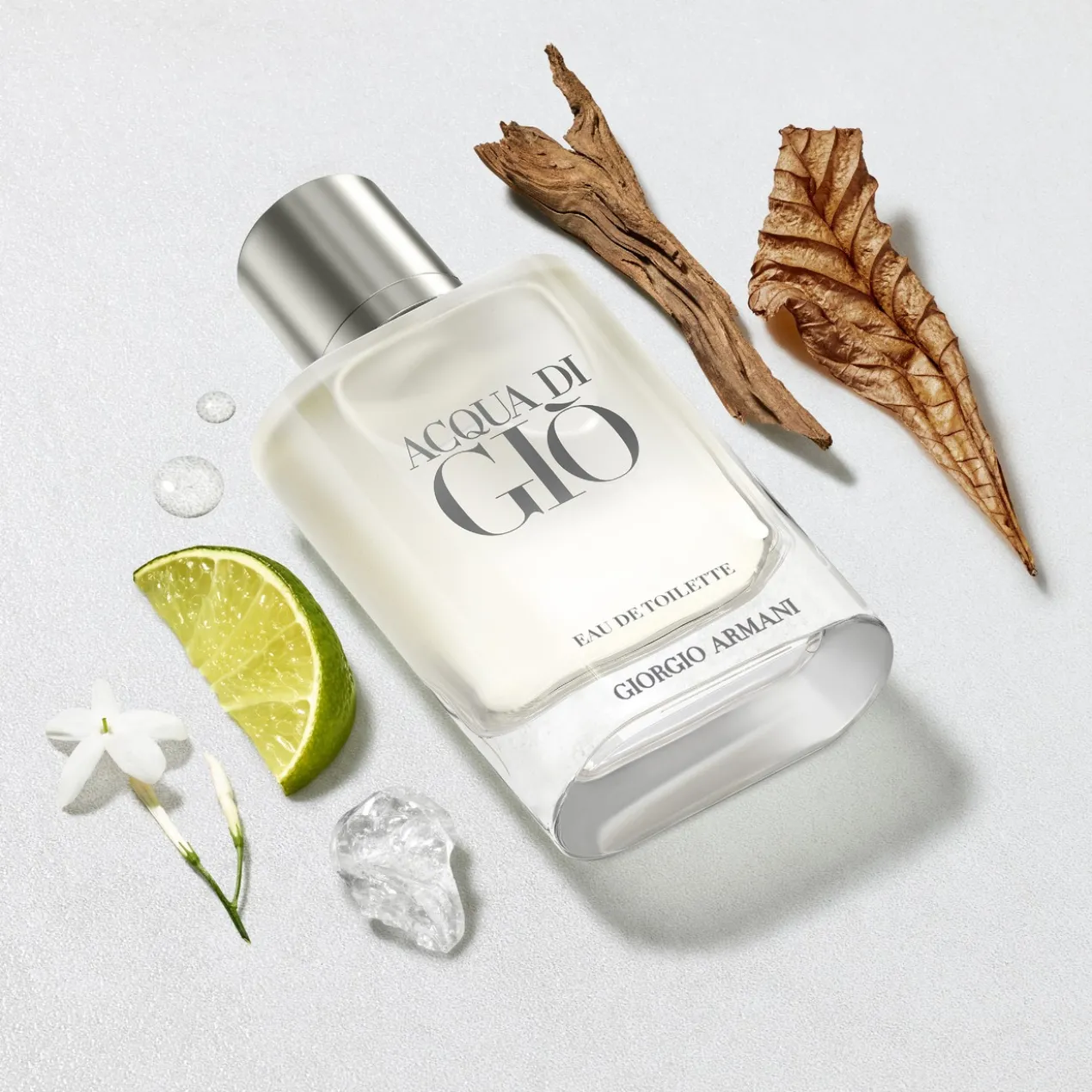 Acqua di Gio Eau de Toilette pour Homme