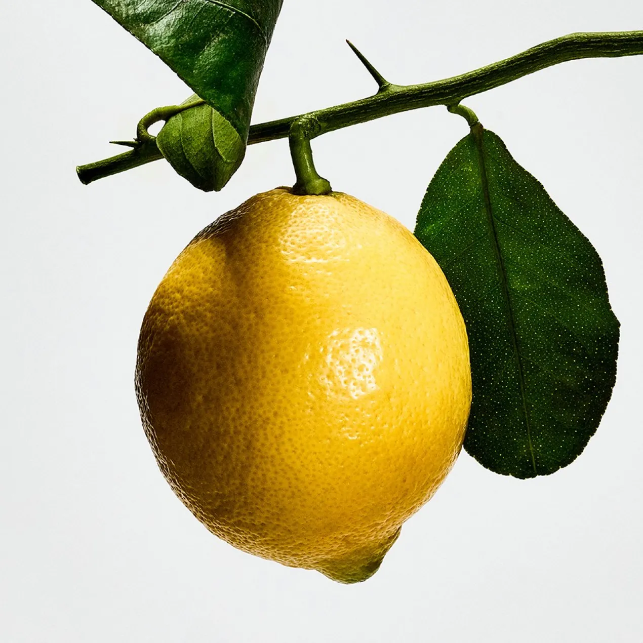 Agua de Loewe Eau de Toilette