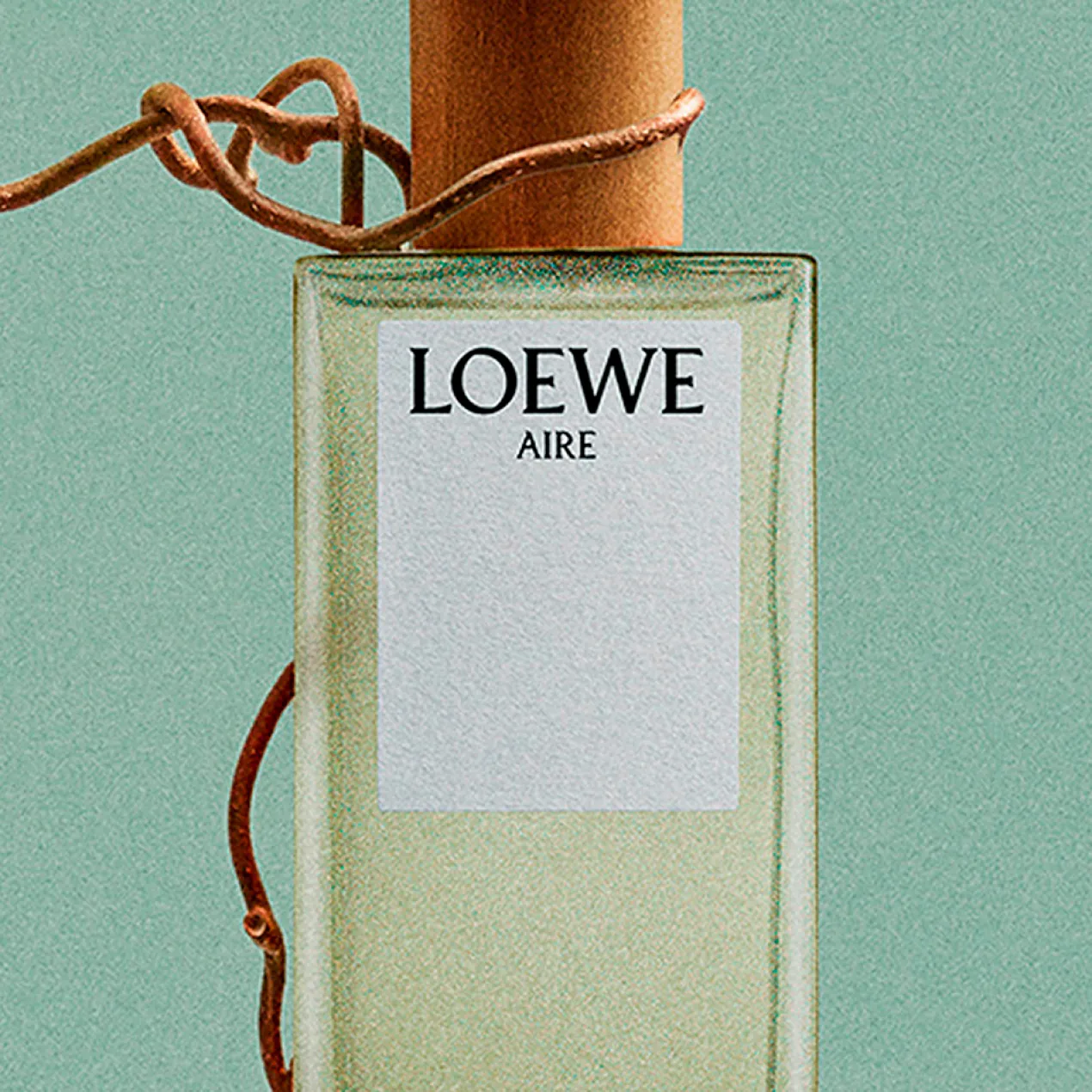 Aire de Loewe Eau de Toilette