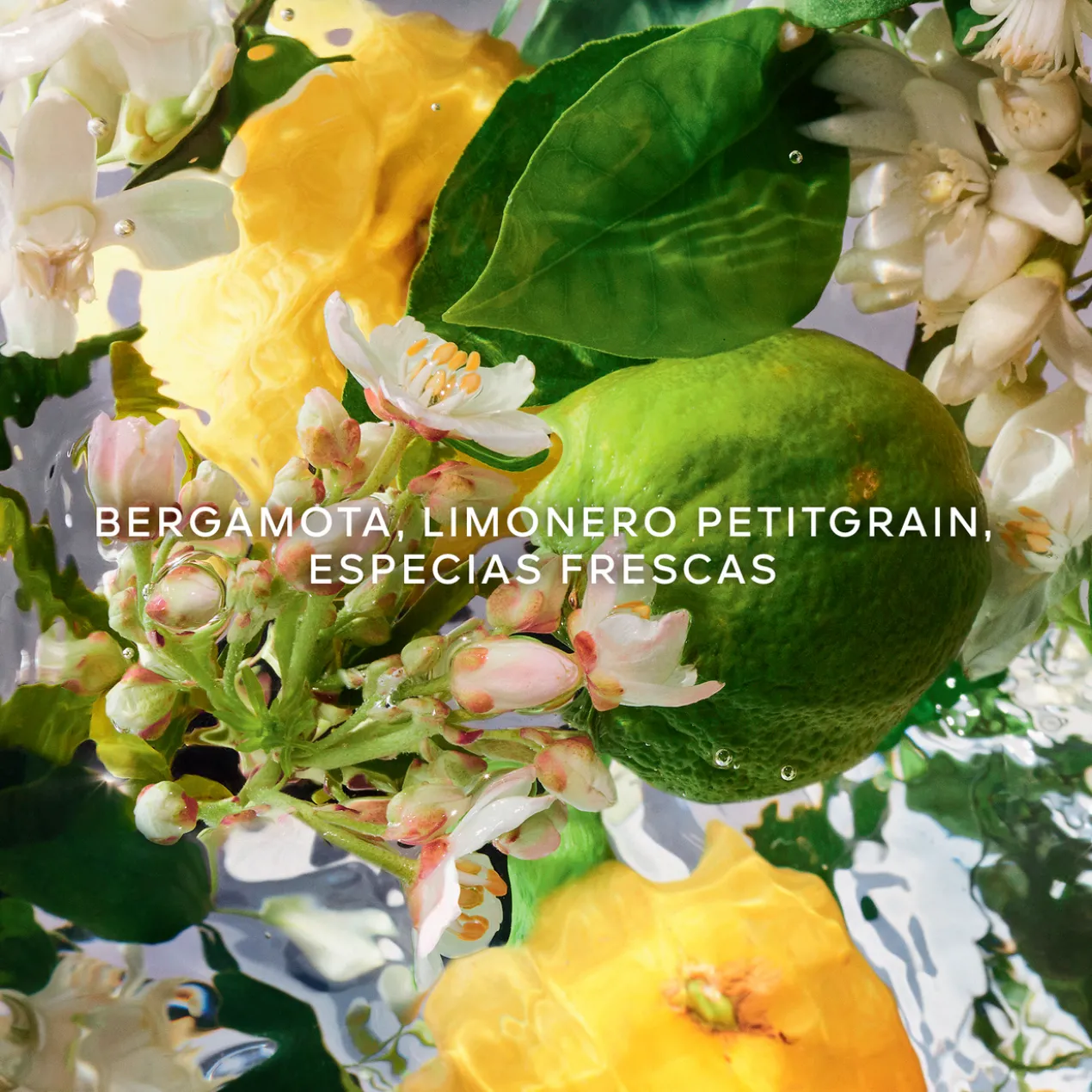 Aqua Allegoria Bergamota de Calabria Eau de Toilette