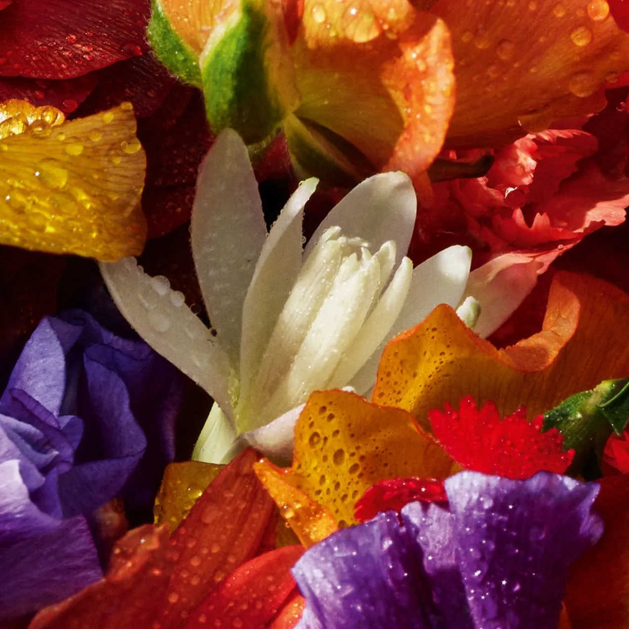 Aqua Allegoria Forte Florabloom Eau de Parfum