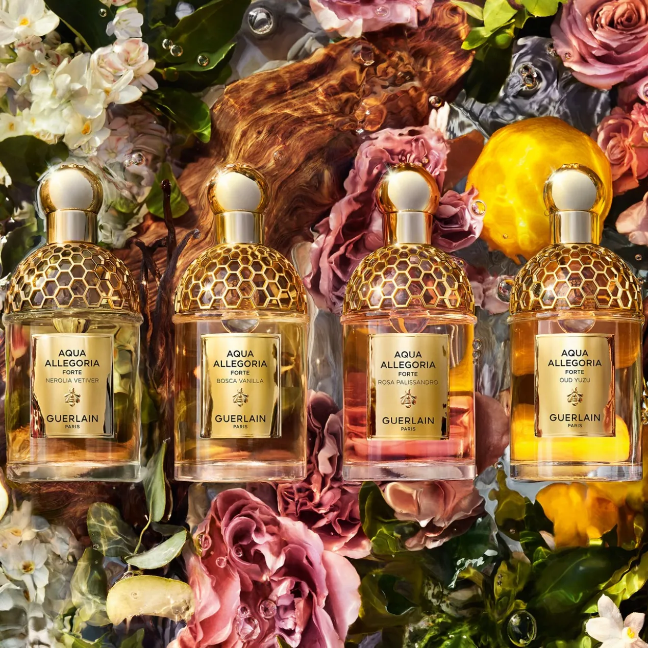 Aqua Allegoria Forte Rosa Palissandro