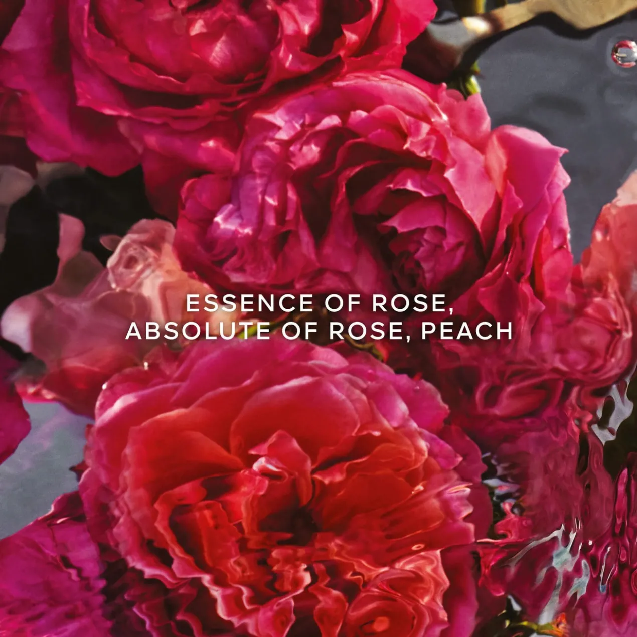 Aqua Allegoria Rosa Rossa Forte Eau de Parfum