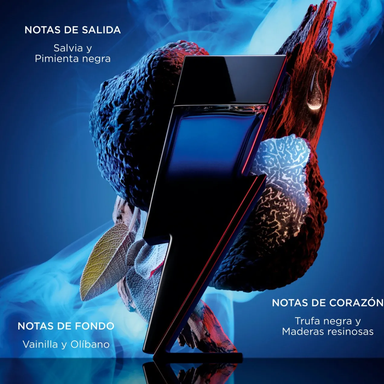 Bad Boy Cobalt Elixir Eau de Parfum