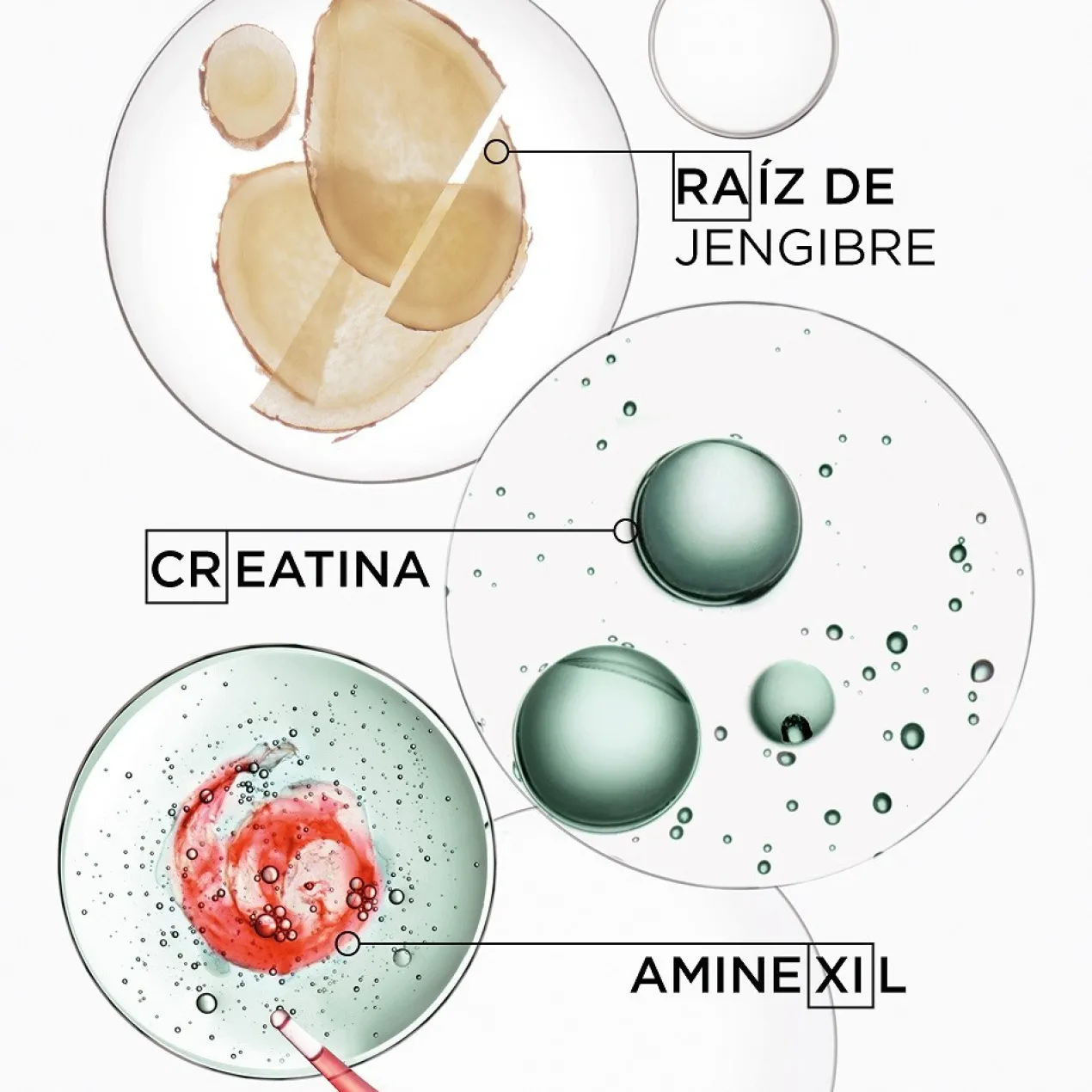 Bain De Masse Épaississant Genesis Homme