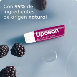 Baume à Lèvres Blackberry Shine