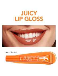Brillant à Lèvres et Juicy Gloss