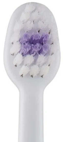 Brosse à Dents Bébé