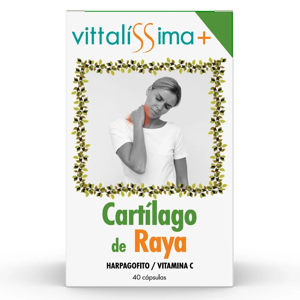 Cartilage de Raie