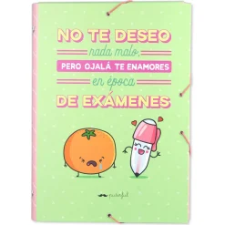 Classeur à Élastiques