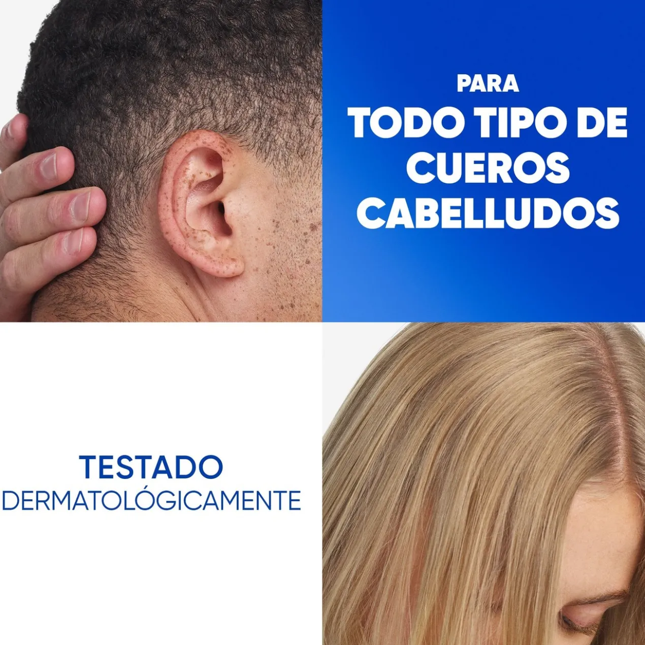 Classic Shampoing Antipelliculaire