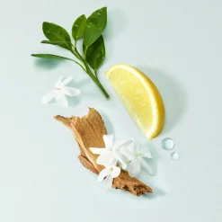 Coffret Acqua Di Gioia Eau de Parfum