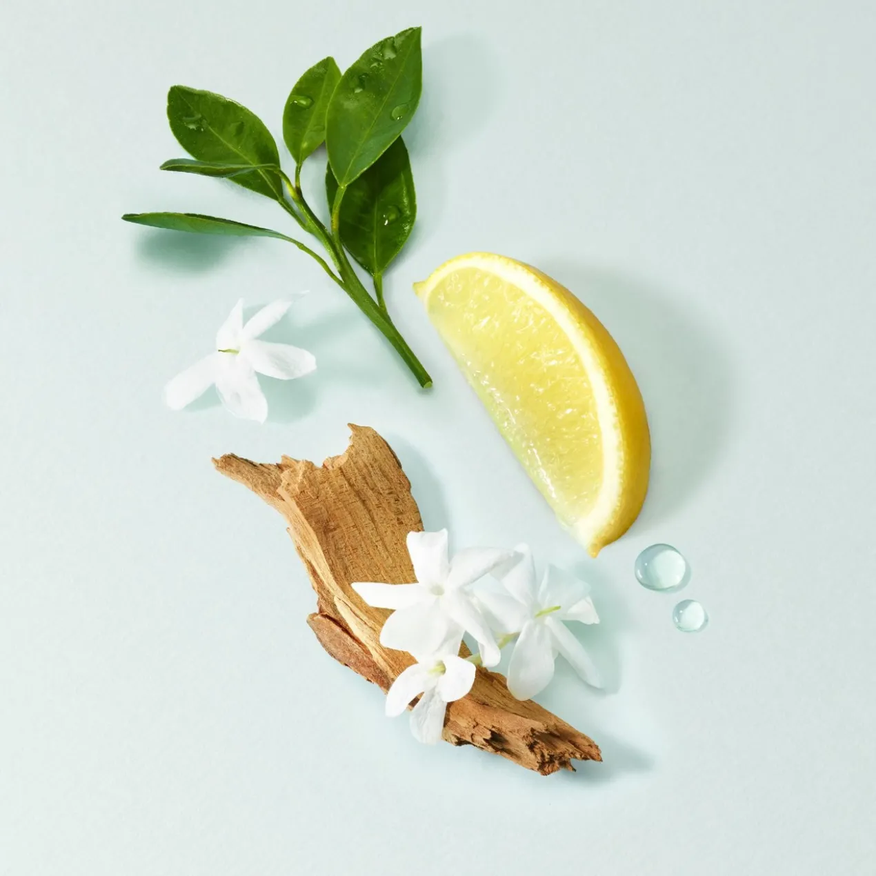 Coffret Acqua Di Gioia Eau de Parfum