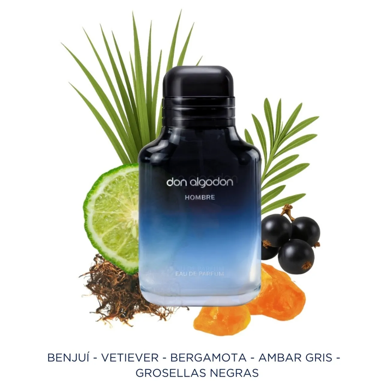 Coffret Eau de Parfum Homme