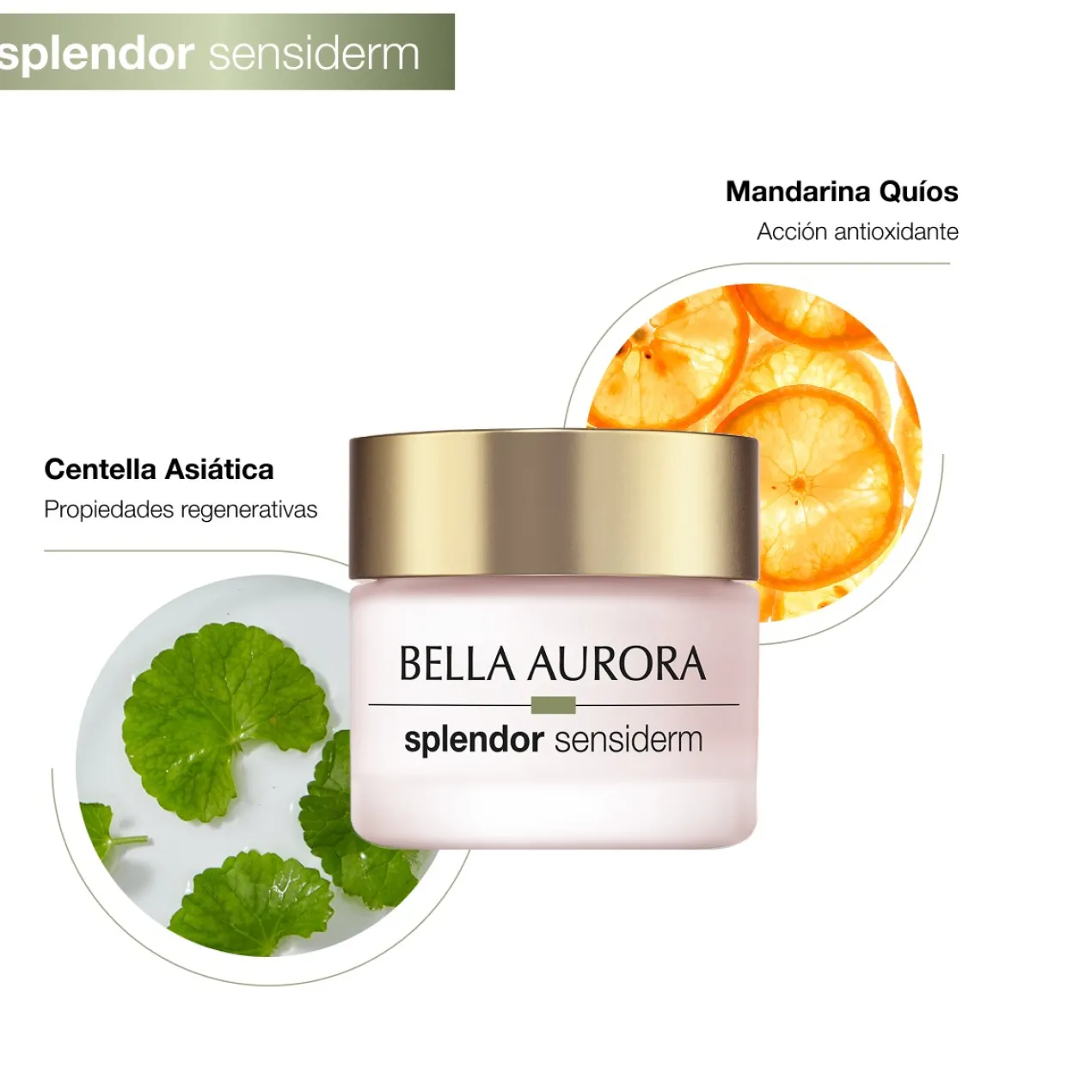 Coffret Splendor Sensiderm Crème Anti-Âge + Soin Contour des Yeux
