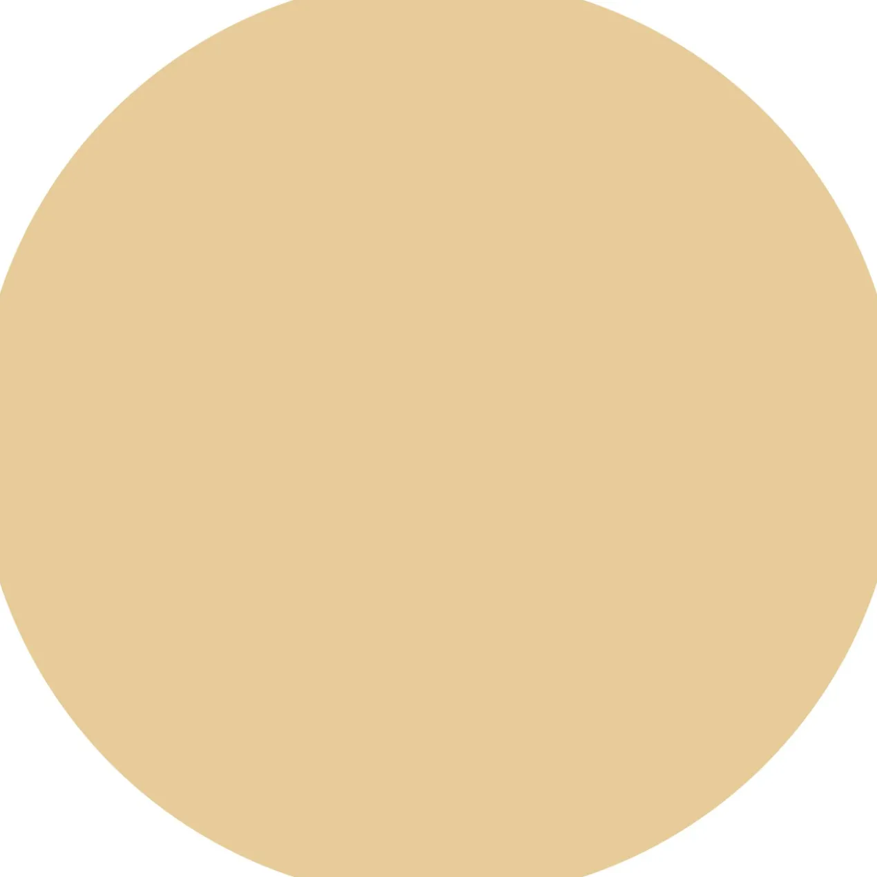 Correcteur de teint CC Skin Perfector