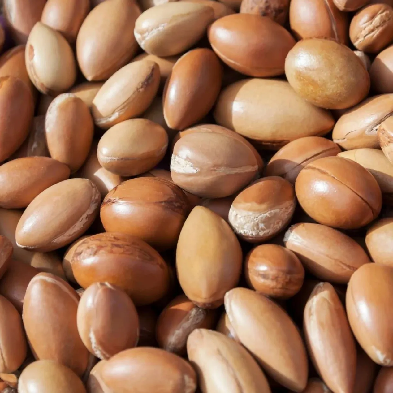 Crème de Douche au Lait d'Argan