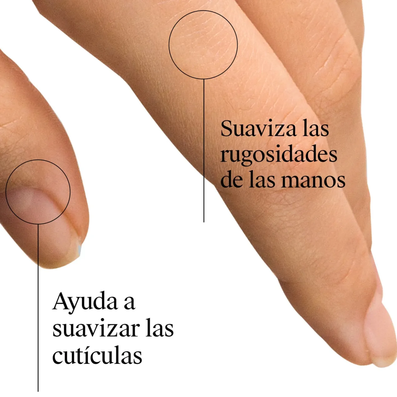 Crème Mains et Ongles Formule Norvégienne