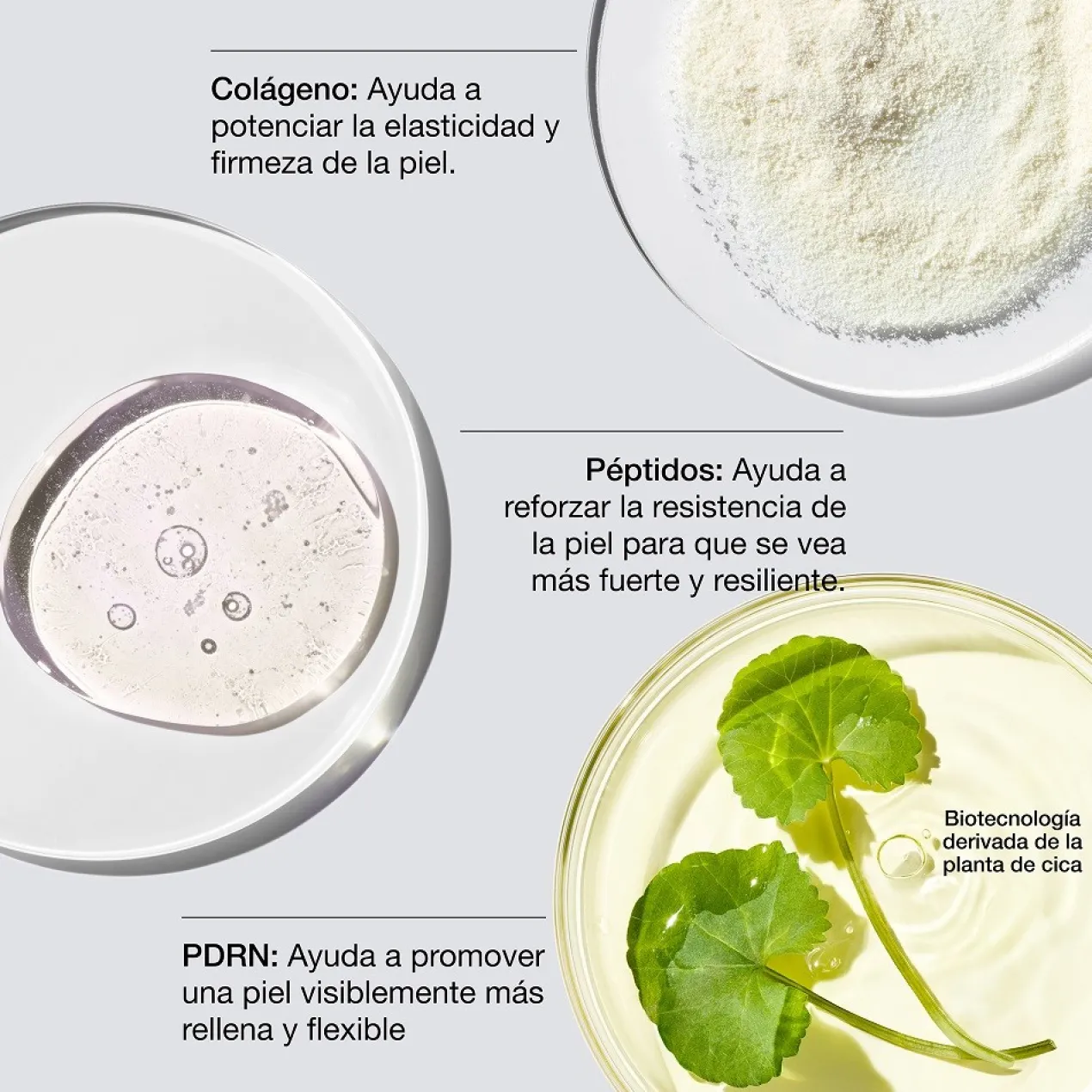 Crème Smart Collagen + PDRN