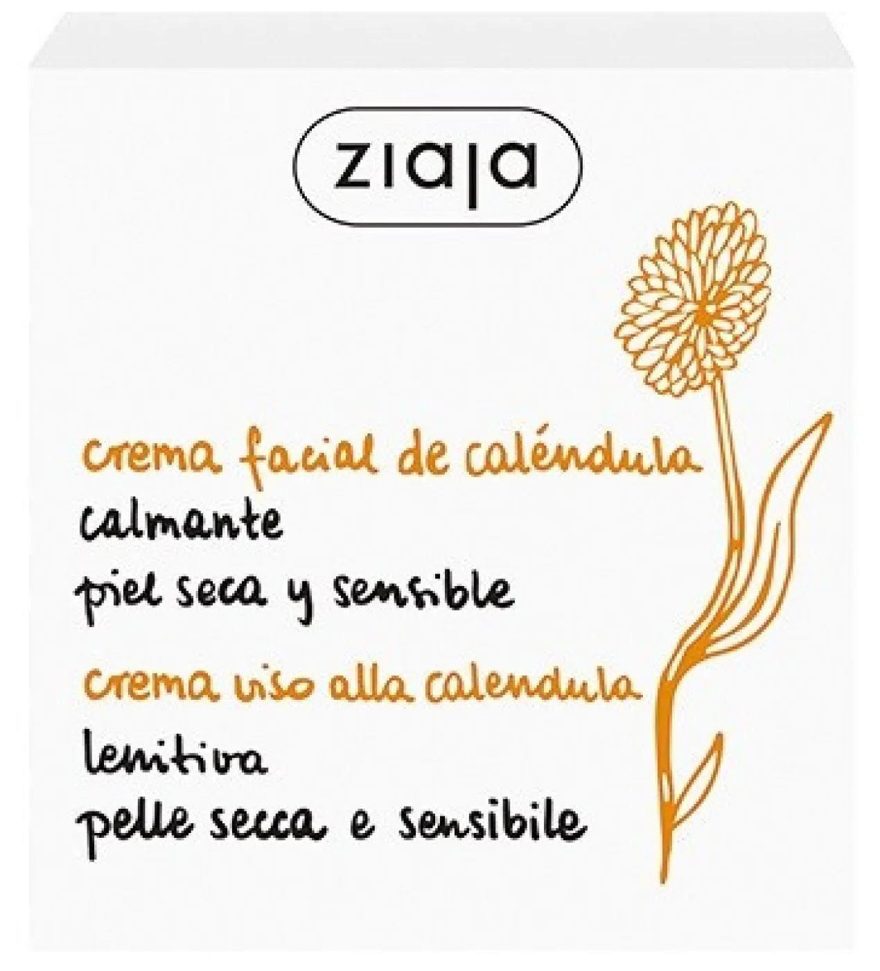 Crème Visage Souci (Calendula)
