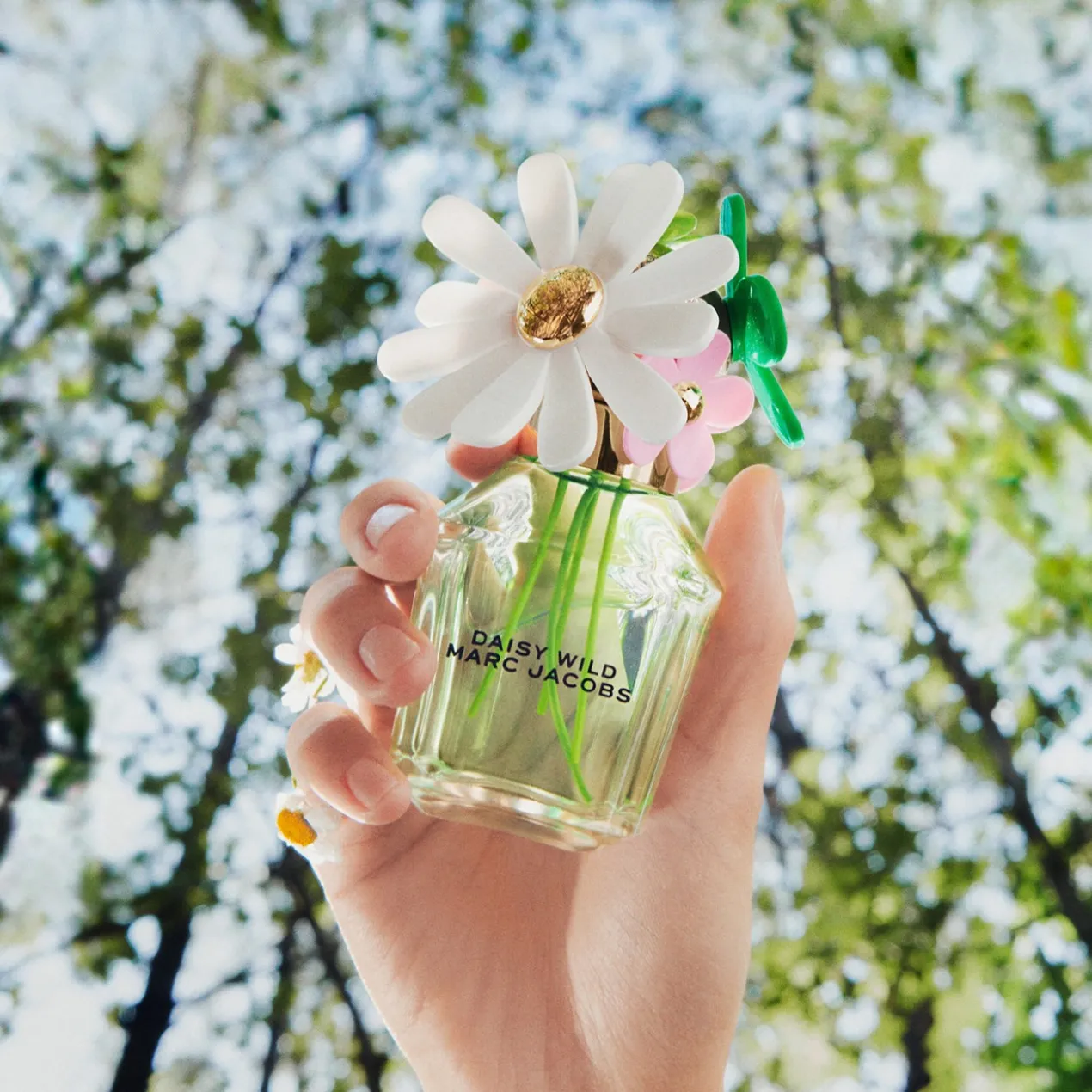 Daisy Wild Eau de Parfum