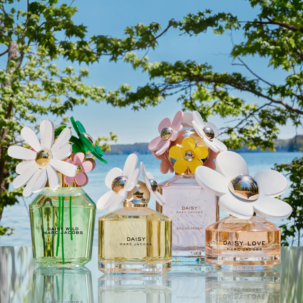 Daisy Wild Eau de Parfum