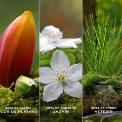 Daisy Wild Eau de Parfum