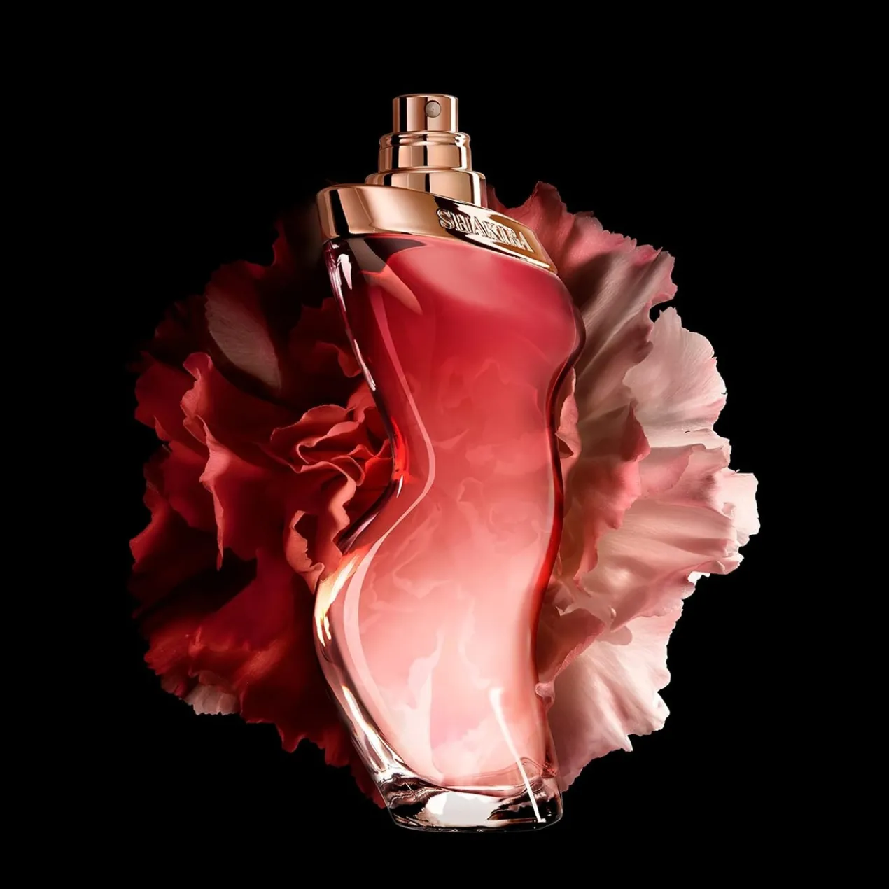 Dance Midnight Muse Eau de Toilette