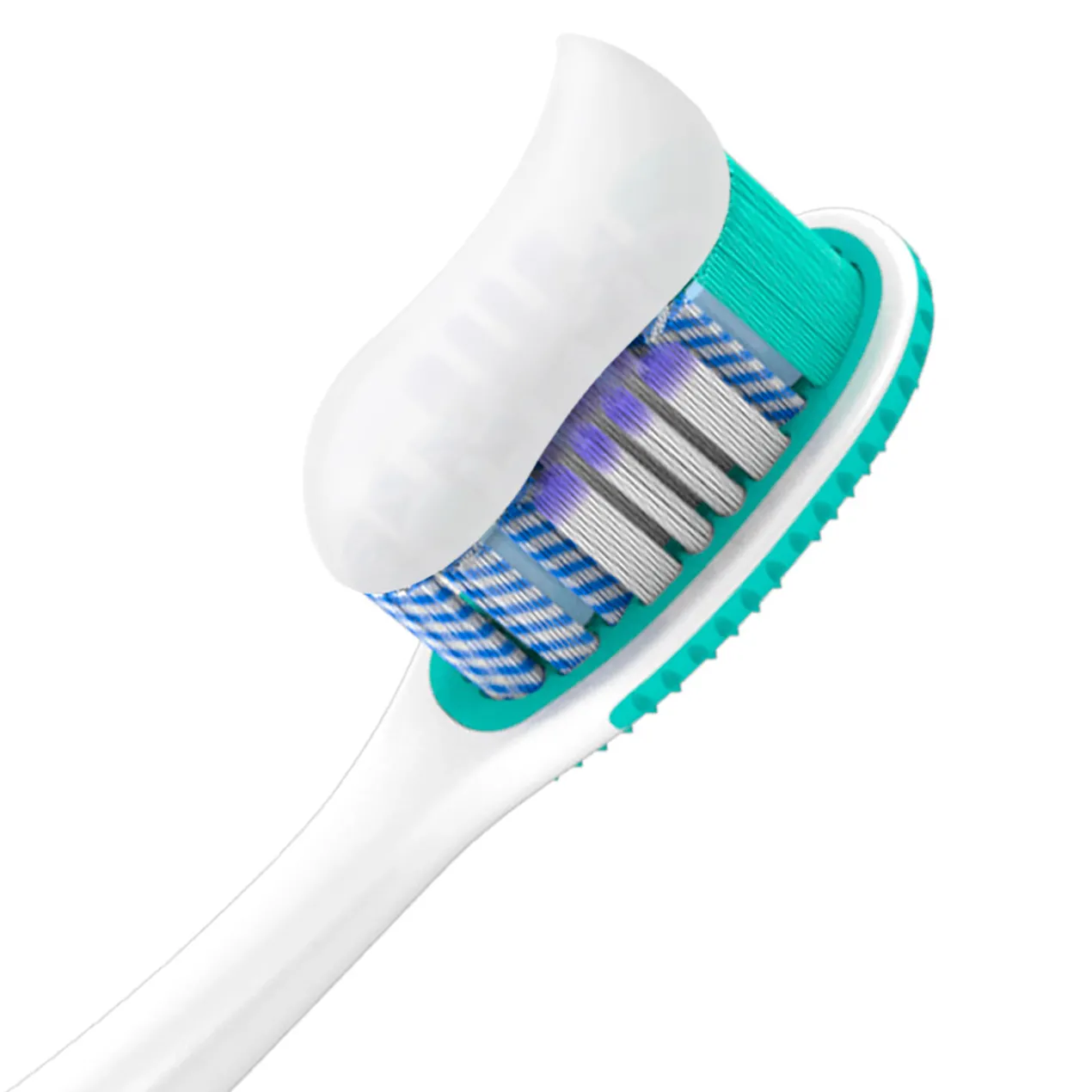 Dentifrice Herbal aux Ingrédients Naturels