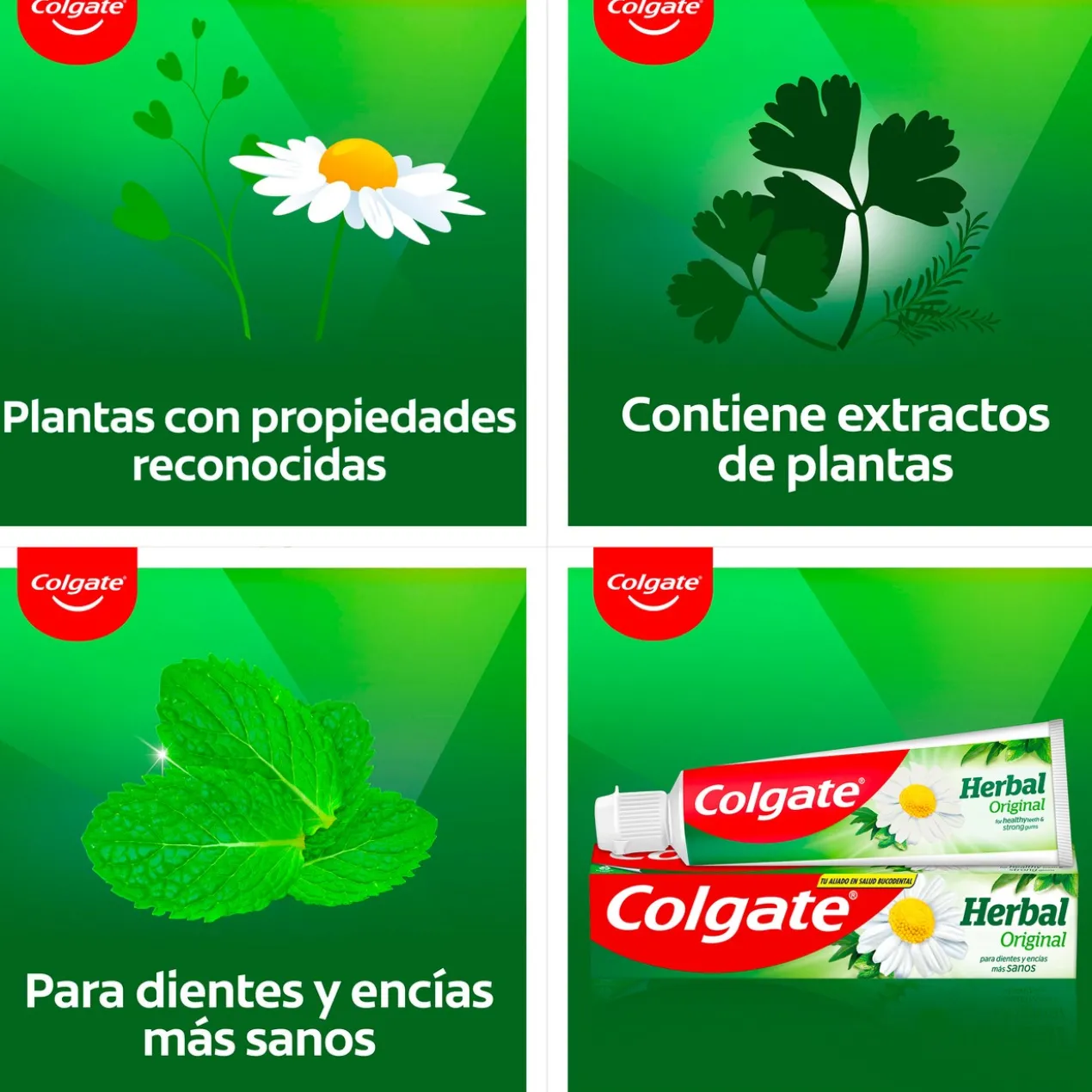 Dentifrice Herbal aux Ingrédients Naturels