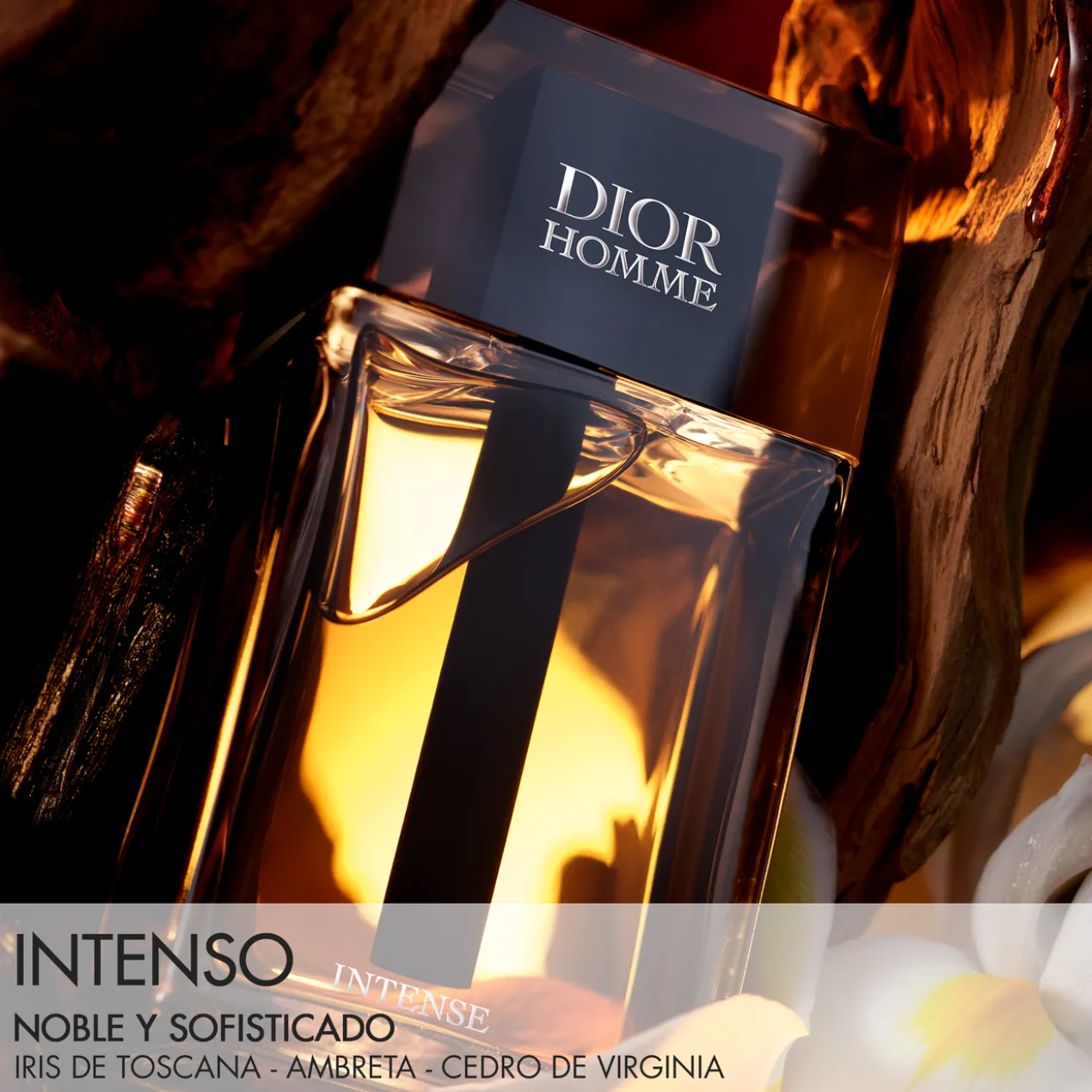 DIOR HOMME INTENSE Eau de Parfum Intense