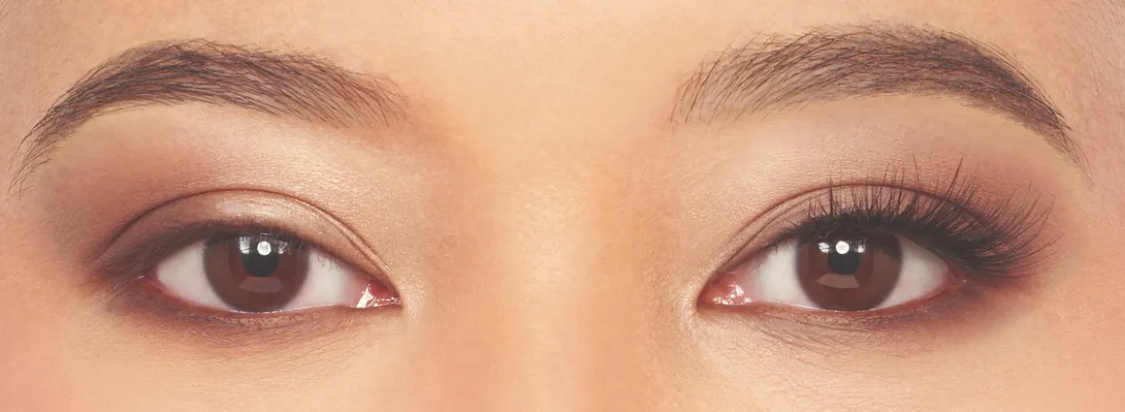 Éd. Limitée 3/4 Length N°029 Faux Cils