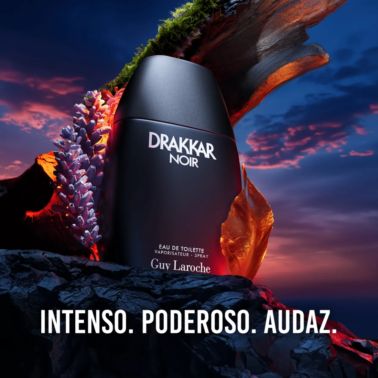 Drakkar Noir