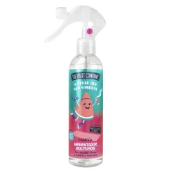 Désodorisant Spray Multi-usages