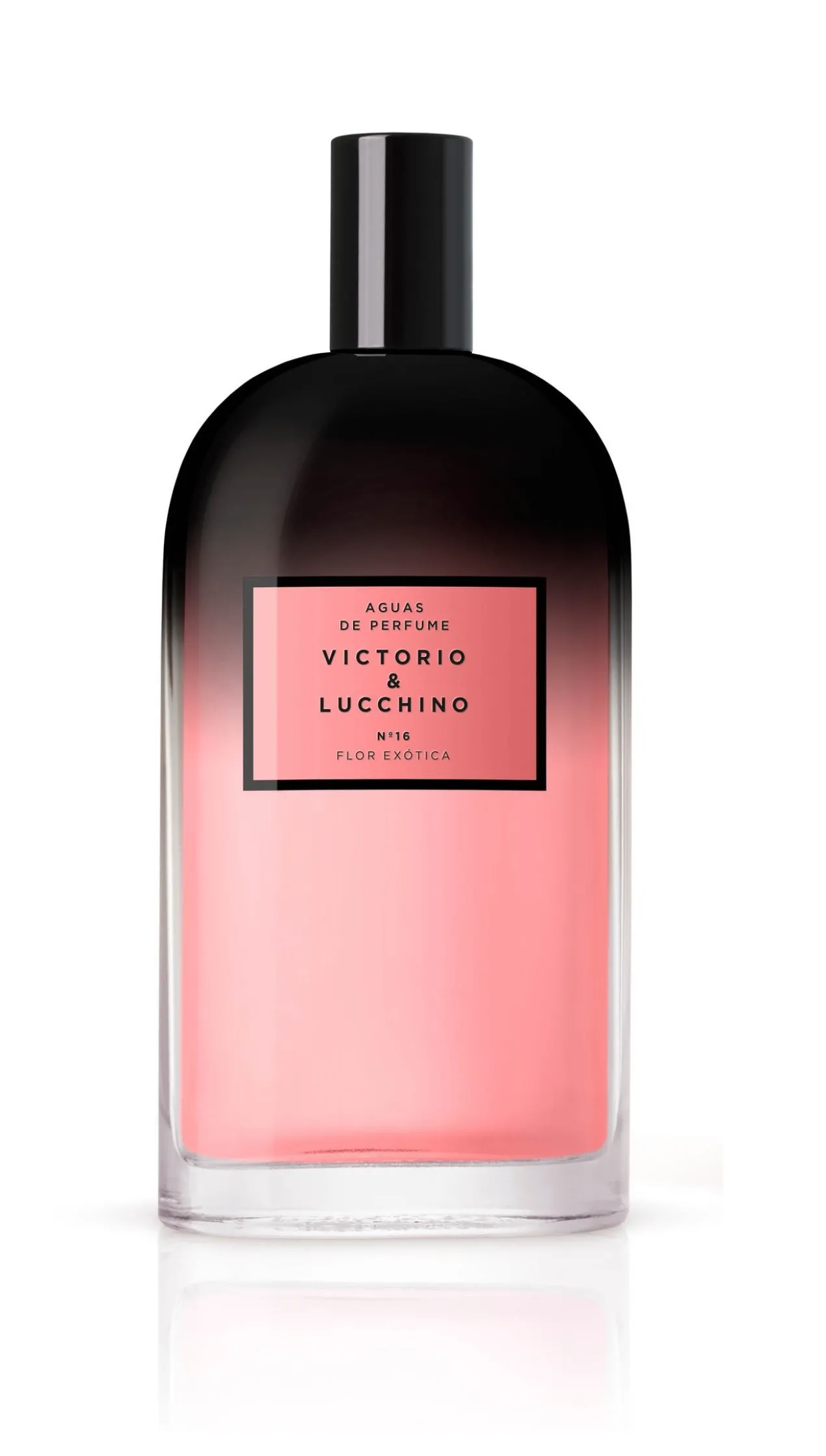 Eau de Parfum Aguas Femeninas Nº16 Flor Exótica