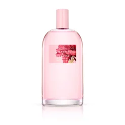 Eau de Toilette Aguas Femeninas V&L Nº 01 Rosa Sensual