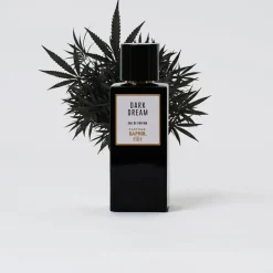 Elite Man Dark Dream