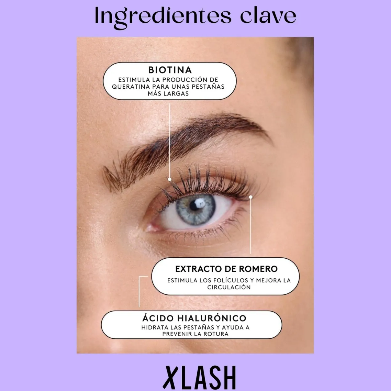 Eyelash Serum