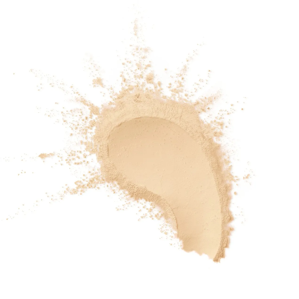Facefinity Pro Blur Poudre Fixatrice