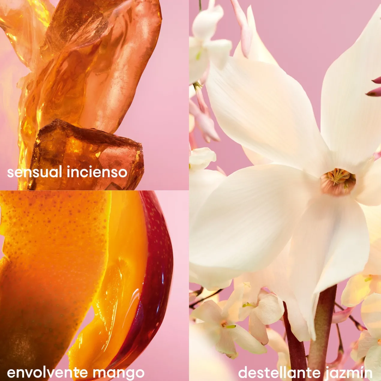 Fame Déodorant Parfumé