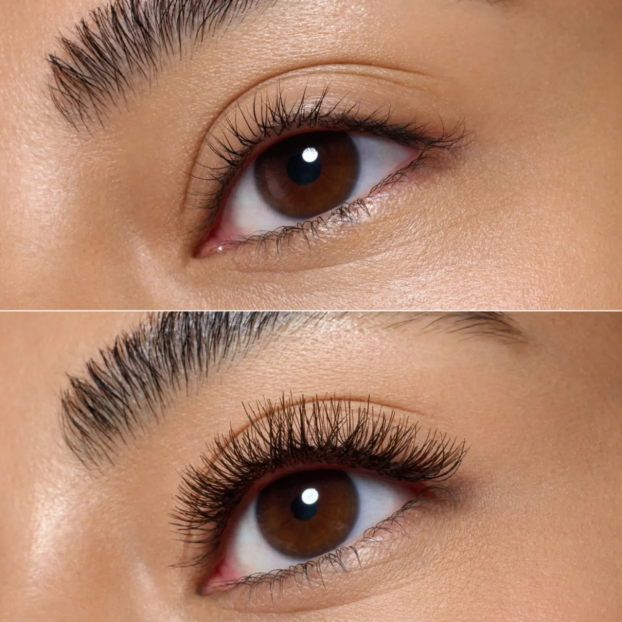 Faux Cils Faked Brown Cluster