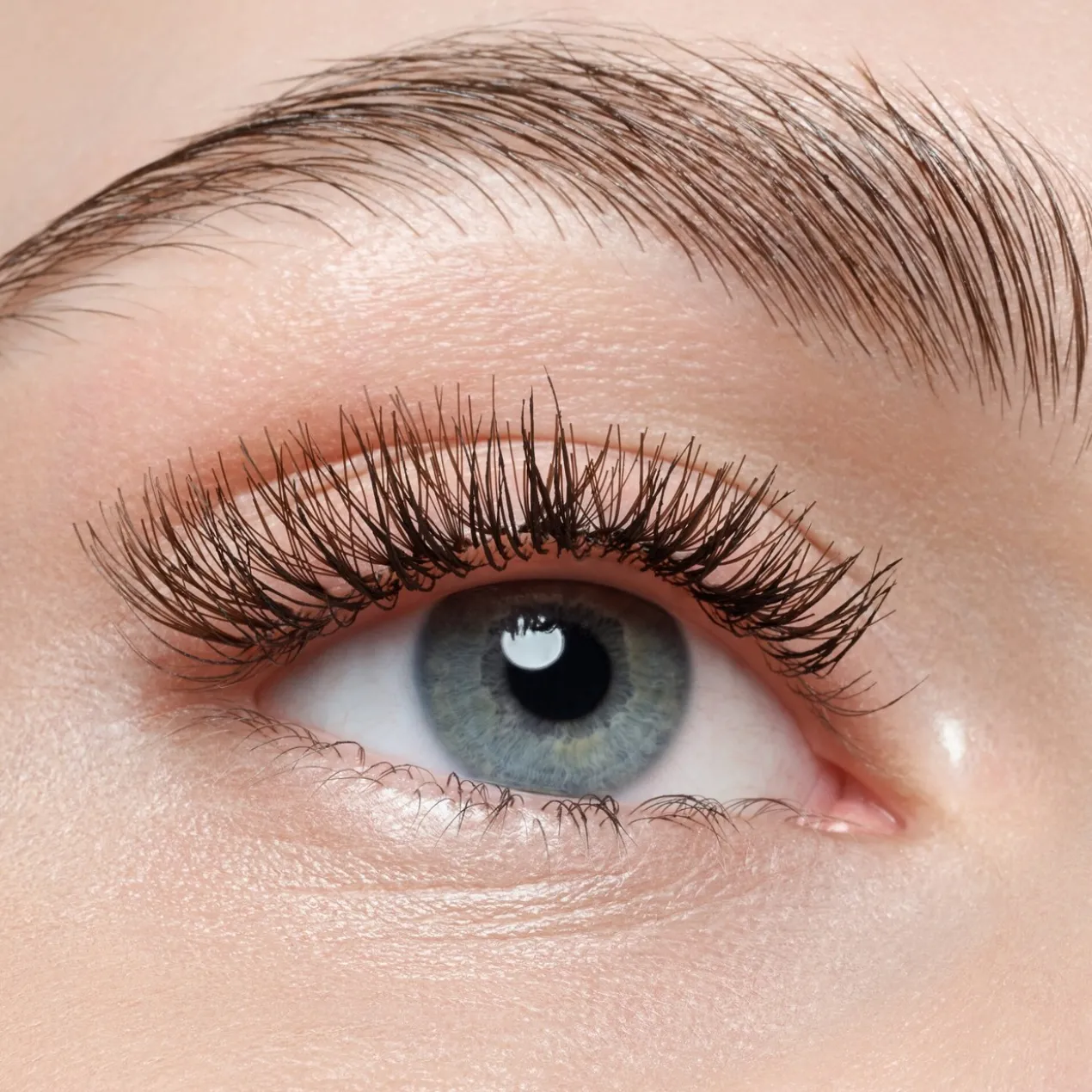 Faux Cils Faked Brown Cluster