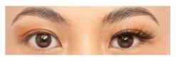 Faux Cils Volume 098 Fox Eye Look