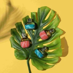 Festival Vibes for Her Eau de Parfum