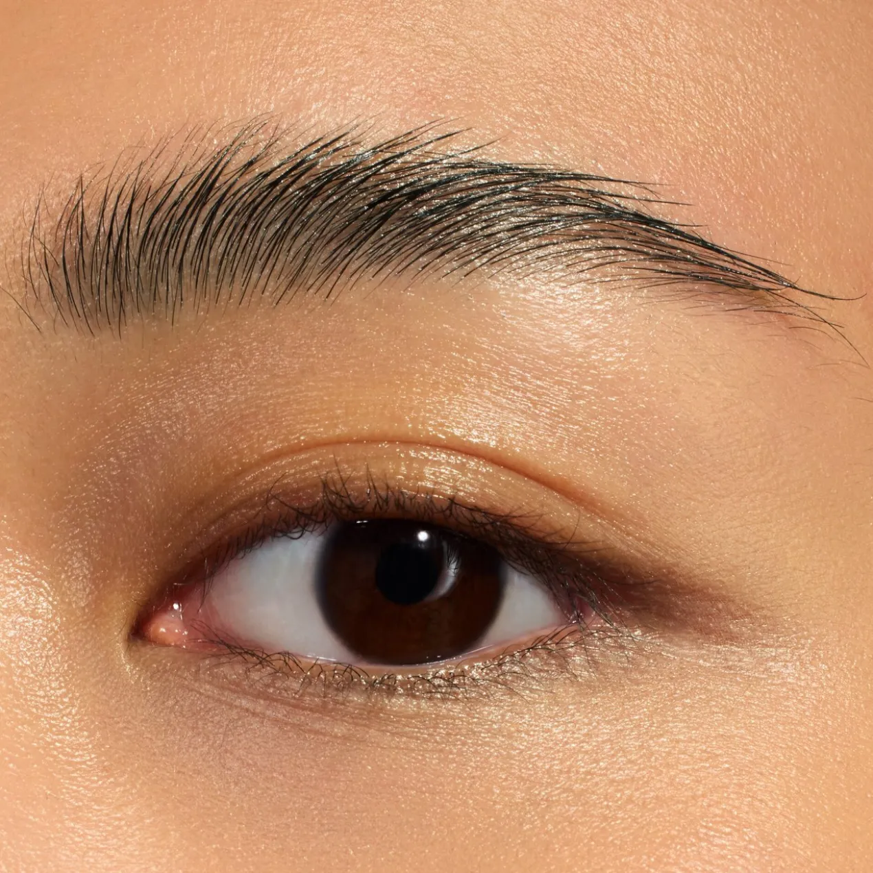 Fix It Like a Pro Gel Fixateur Transparent pour Sourcils