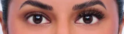 Full & Wispy Nº 184 Faux Cils