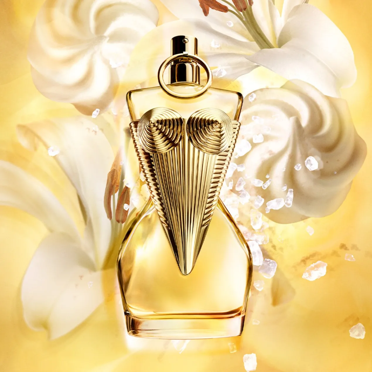 Gaultier Divine Coffret cadeau Eau de Parfum